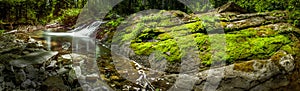 Creek, moss and rocks