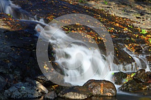 Creek in the mountain