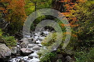 Creek in the mountains