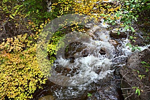 Creek in the mountains