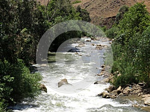 Creek in the mountains