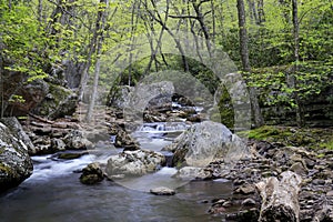 Creek in the Mountains of Southwest Virginia photo