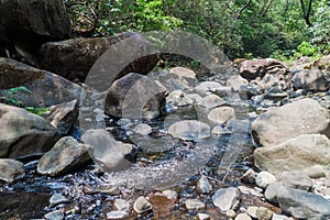 Creek in national park El Imposible, El Salvad photo