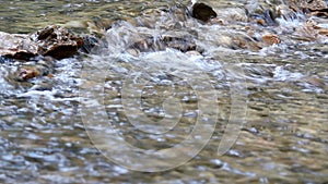 Creek nature scene