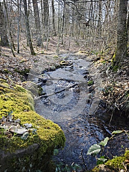 creek near Robern