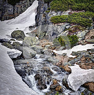 Creek near waterfall Skok