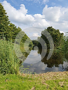 Creek in the Netherlands