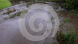 A creek overflowing its banks and inundating bullrushes in the process