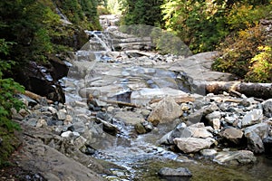 A Creek in the Pacific Northwest