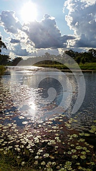 Creek in the parklands with sun peaking through the white clouds