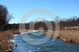 Creek and Reeds