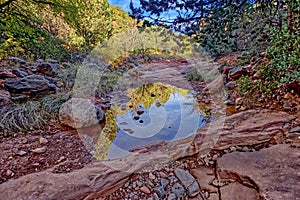 Creek reflection along Munds Wagon Trail Sedona