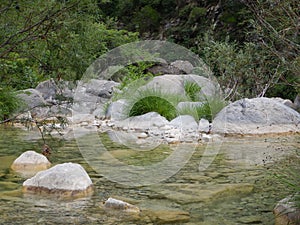 Creek Rio Barbaria - Liguria -Italy