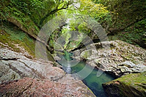 Creek in rocks