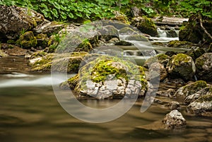 Creek, rocks and vegetation