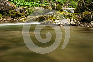 Creek, rocks and vegetation