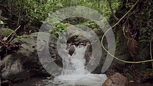 Creek running fast in tropical rainforest. Clear waterfall, brook in mountain. Rapid river stream flow in deep wood among stone.