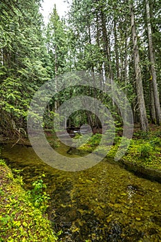 Creek running into Priest Lake State Park