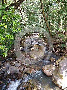 Creek running through Ricon de la Vieja park forest photo