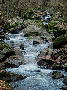 Creek with running water