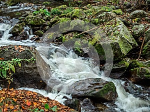 Creek with running water