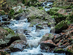 Creek with running water