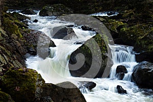 Creek with running water and stones (rocks)