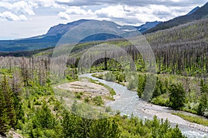 Creek runs through Waterton Lakes National Park in Alberta Canada, during summer photo