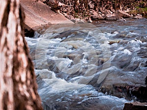 Creek flowing through a park framed by a tree