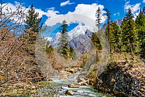 Creek and Snow Mountain