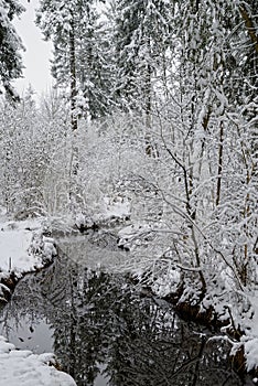 Creek in snowy forest magic winter landscape