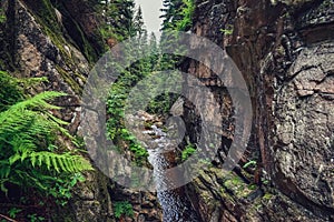 Creek between stone walls creating crevice. Mountains on the south of Poland.