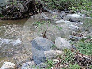 Creek stream view