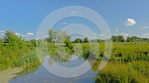 Creek through a sunny green field with trees in Kalkense Meersen nature reserve, Flanders, Belgium