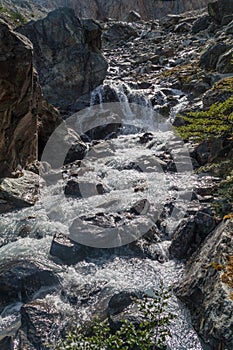 Creek in Tierra del Fuego, Argenti
