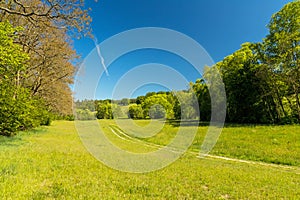 A creek valley near Singen in thuringia in spring