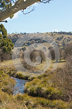 Creek Water Running Through Natural Australian Grass Land. Collector, New South Wales. photo