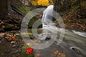 Creek with waterfall