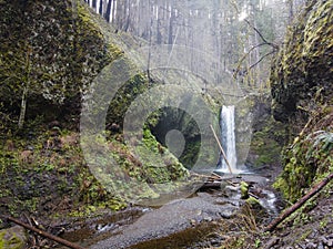 Creek and Waterfall Flows Through Forest in Oregon