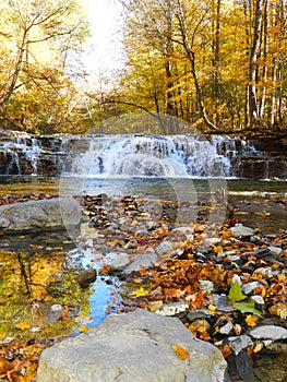 Creek and waterfall in yellow forest with sky reflection