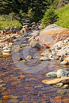 A creek which flows into the Atlantic Ocean