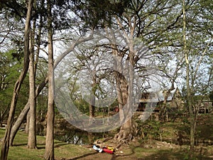 Creek in Wimberley, Texas