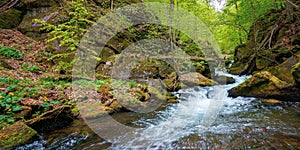 creek winding through rocks in the forest