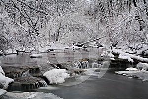 Creek In Winter