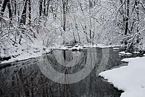Creek In Winter
