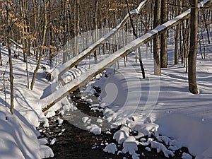 Creek through the Winter forest in Mont Saint Bruno national park, Quebec.