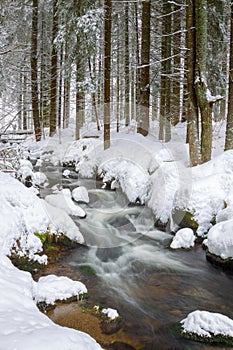 Creek in winter photo