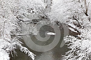 Creek in Winter Snow Scene