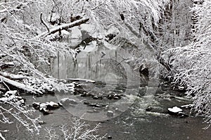 Creek in Winter Snow Scene