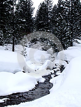 Creek in Wintry forest